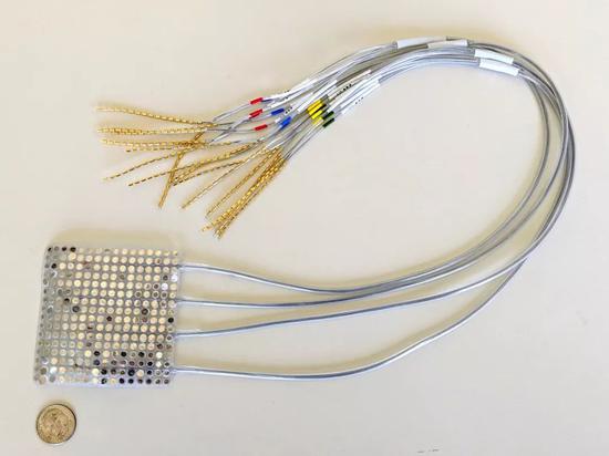 华裔科学家成功解码脑电波 AI直接从大脑中合成语音