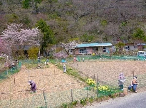 日本63%的夫妻没有性生活5.jpg