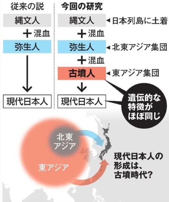 在弥生人的DNA中，发现很多东北亚人身上常见的遗传特征