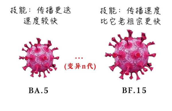 BA.5非常“狡猾”，“人、物、环境”都要严防死守