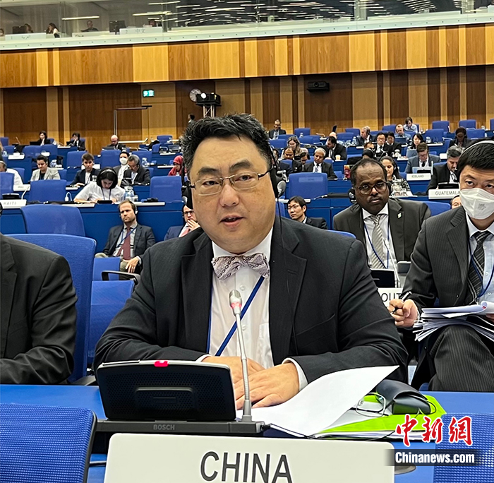 中国常驻维也纳联合国代表王群参加大会