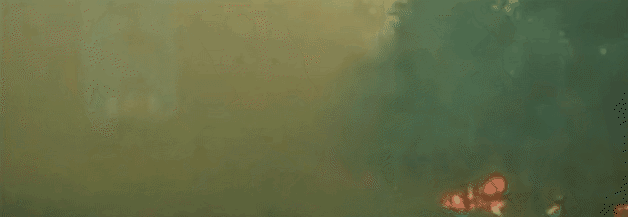 浓烟铺天盖地。今天迅速向纽约市及周边地区东南方向蔓延