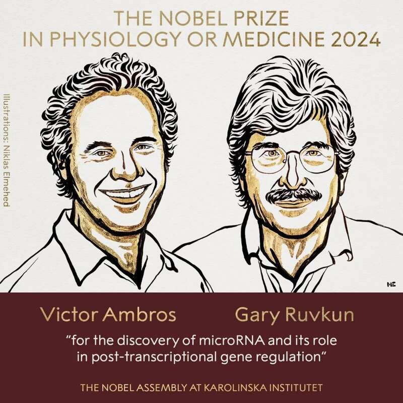 2024年诺贝尔生理医学奖获得者：维克托·安博斯（Victor Ambros）、加里·鲁弗肯（Gary Ruvkun） ...