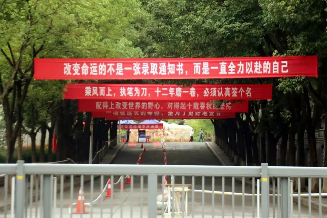 改变命运的不是一纸通知书，而是一直全力以赴的自己